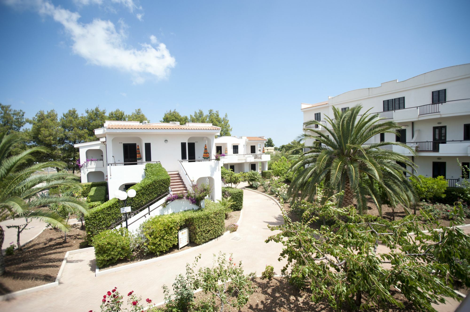 Oasiclub Hotel - Appartamenti Vieste Zewnętrze zdjęcie